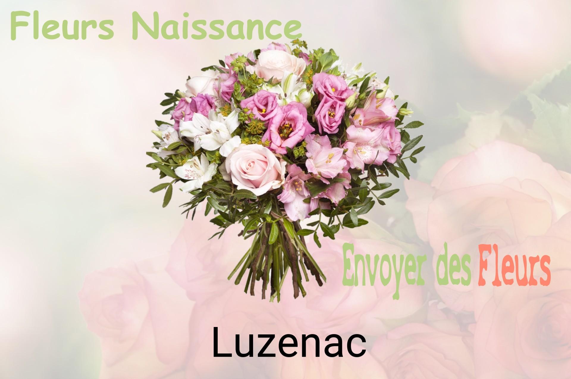 Bouquet de fleurs de naissance livré à Luzenac